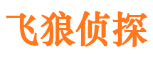 文成市侦探调查公司